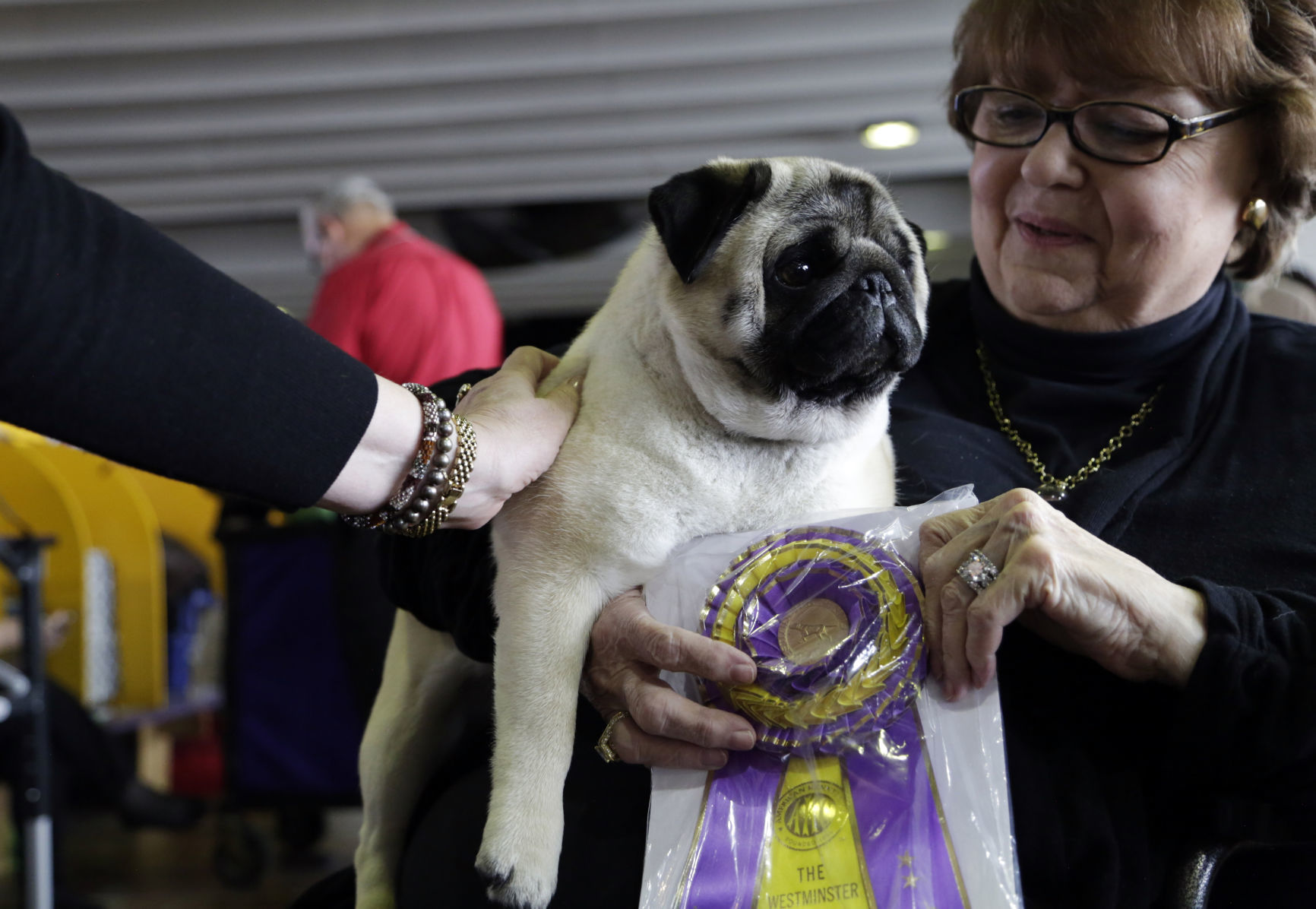 Westminster Dog Show